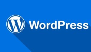 Wordpress course Rohini